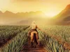 Maestros del Agave